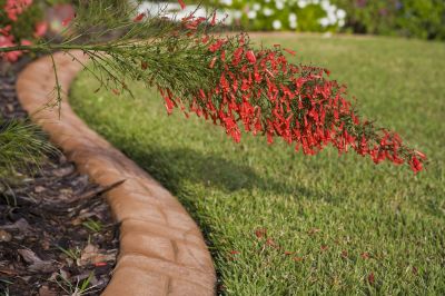 Landscape Curbing Service