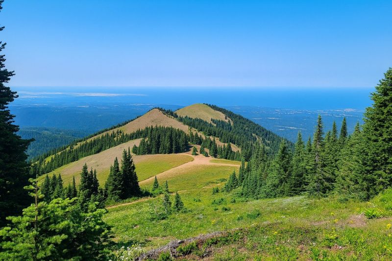 Park Landscape Maintenance