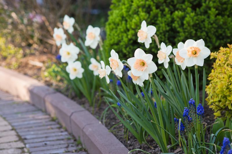 Bordered Paver Design