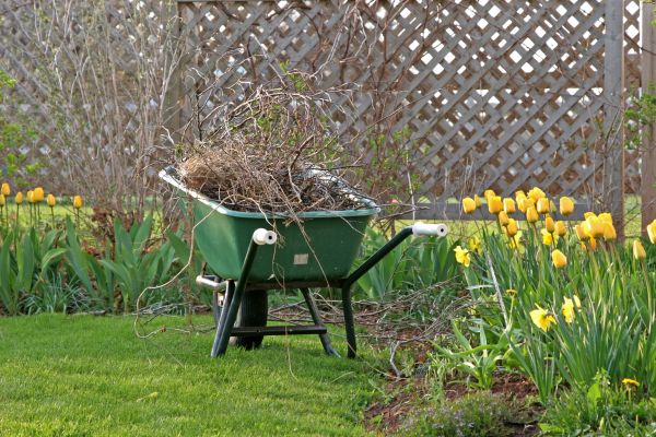 Flower Bed Cleanup Service in Cherry Hill