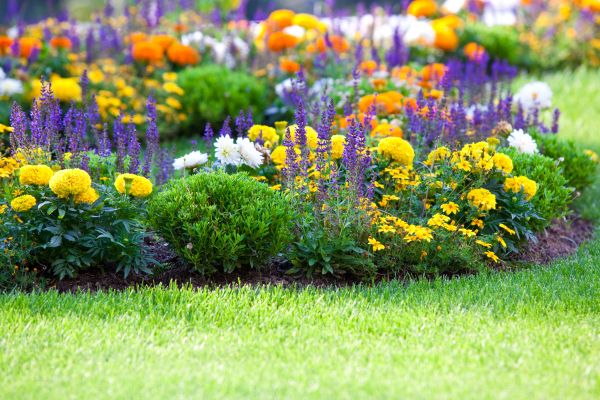 Flower Bed Maintenance in Cherry Hill