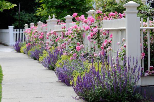 Garden Handyman Service in Cherry Hill