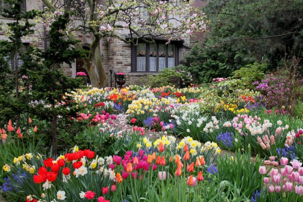 Garden Maintenance Service in Cherry Hill