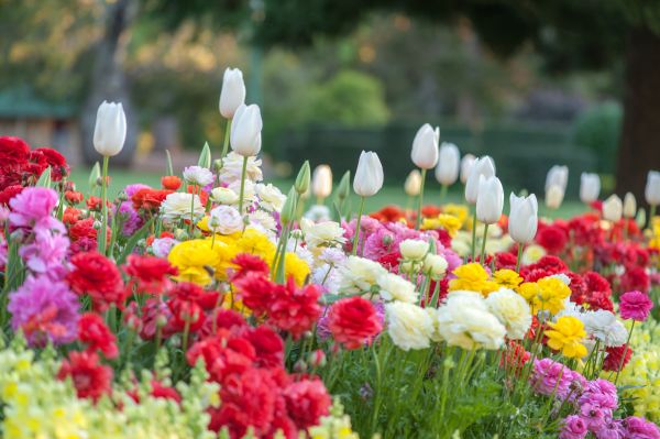 Gardening Service in Cherry Hill