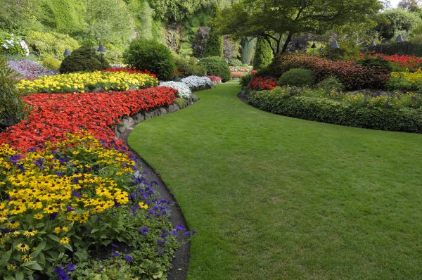 Landscaping Maintenance in Cherry Hill