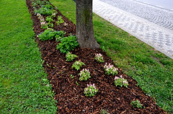 Mulch Replacement Service in Cherry Hill