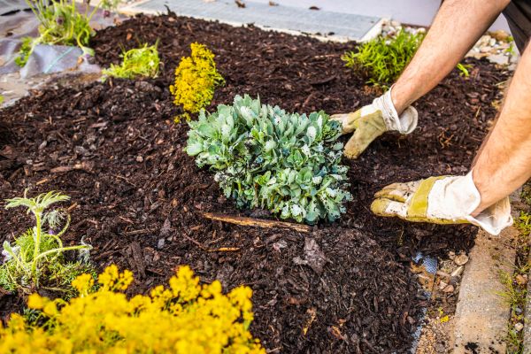 Weeding And Mulching in Cherry Hill