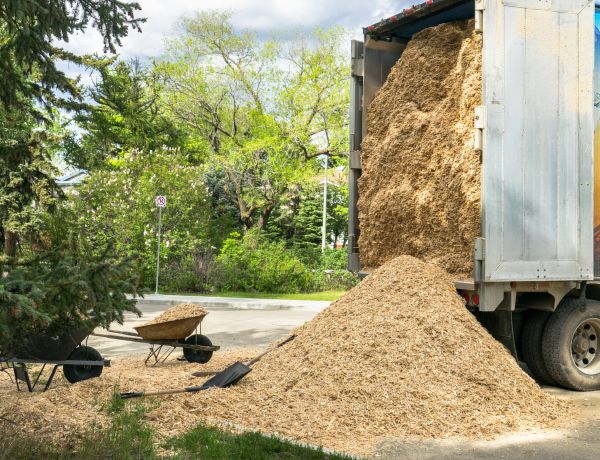 Wood Chips Delivery in Cherry Hill