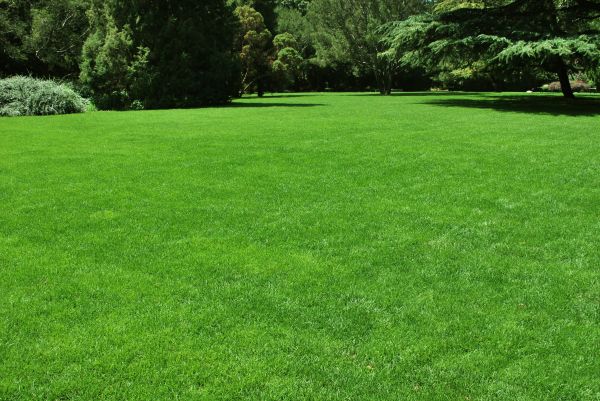 Lawn Landscaping in Cherry Hill