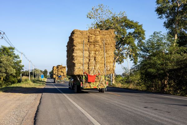 Pine Straw Delivery in Cherry Hill