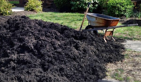 Black Mulch Delivery in Cherry Hill