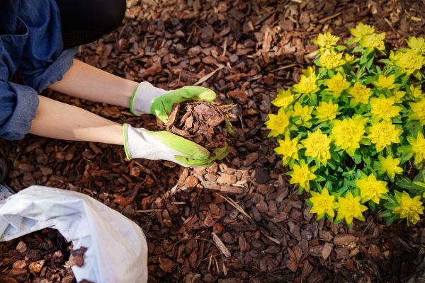 Garden Mulching in Cherry Hill