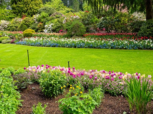 Residential Landscape Design in Cherry Hill