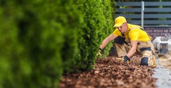 Cypress Mulch Installation in Cherry Hill