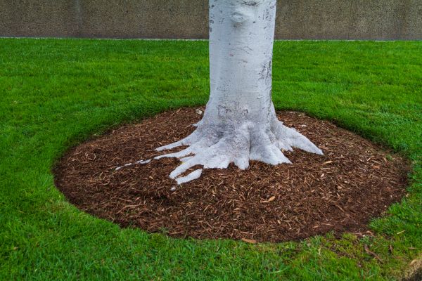Brown Mulch Installation in Cherry Hill