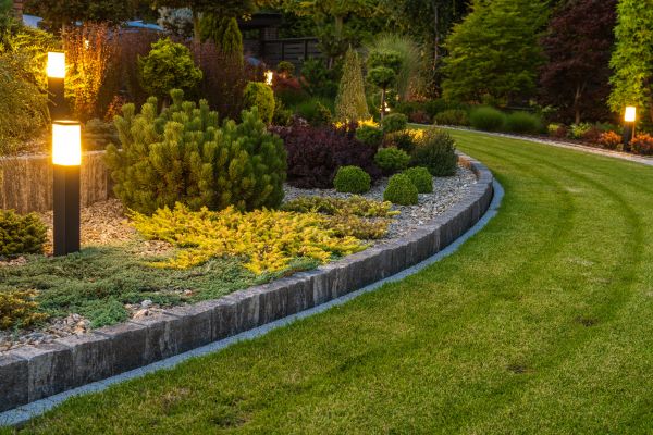 Garden Repair Service in Cherry Hill