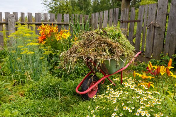 Garden Cleanup Service in Cherry Hill