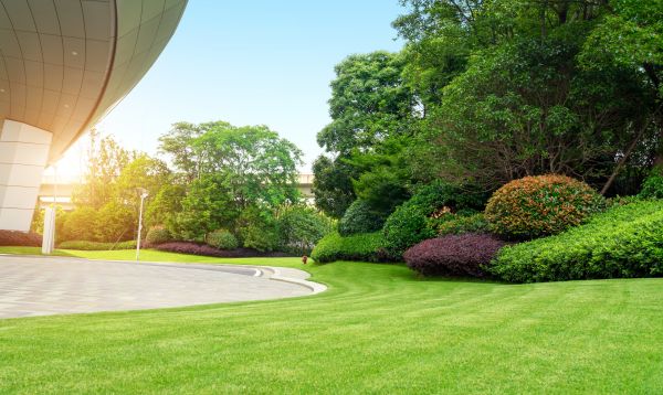 Business Landscape Design in Cherry Hill