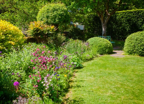 Yard Landscaping Service in Cherry Hill