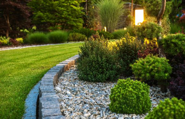Landscaping Service in Cherry Hill