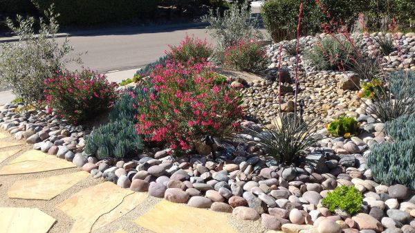 Xeriscape Landscaping in Cherry Hill