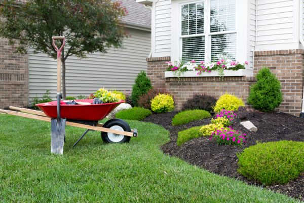 Tree And Shrub Planting in Cherry Hill