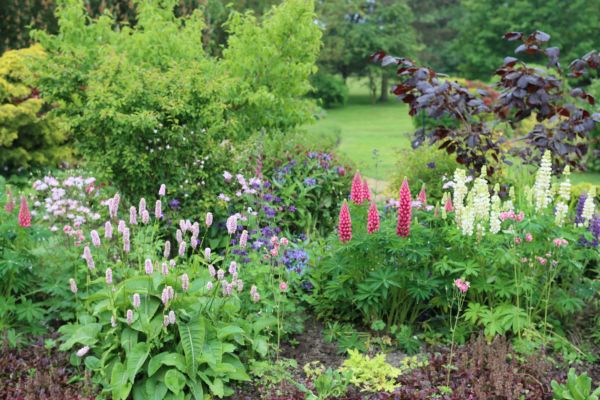 Flower Bed Planting in Cherry Hill