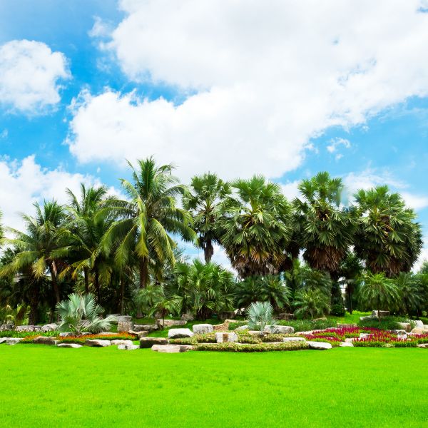 Tropical Landscaping in Cherry Hill