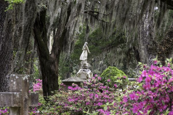 Cemetery Landscaping in Cherry Hill