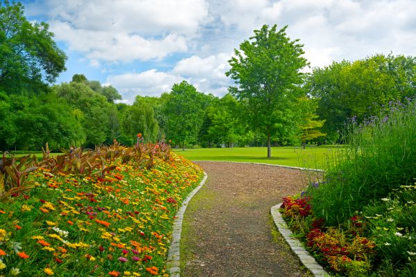 Park Landscaping in Cherry Hill