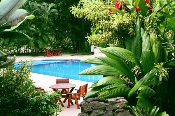 Tropical Garden Landscaping in Cherry Hill