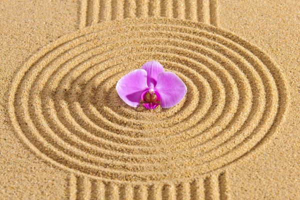 Sand Garden Landscaping in Cherry Hill
