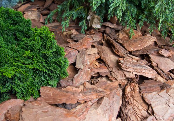Pine Bark Installation in Cherry Hill