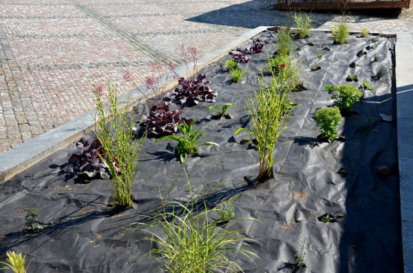 Landscape Fabric Installation in Cherry Hill