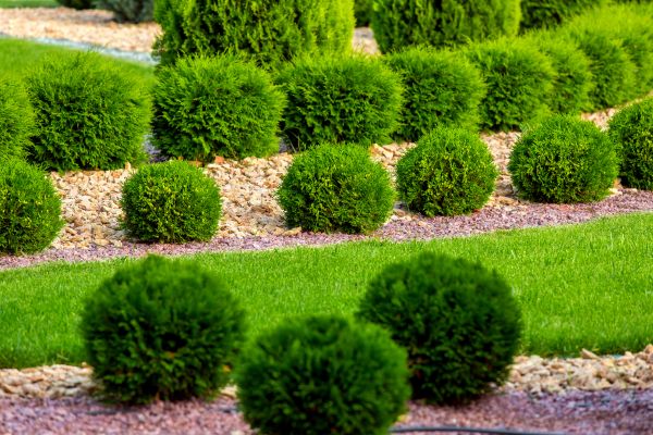 Bush Installation in Cherry Hill