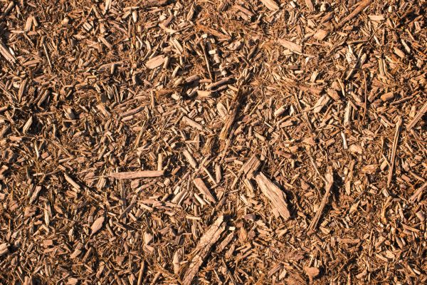 Wood Chips Removal in Cherry Hill