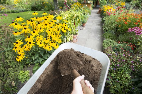 Topsoil Replacement in Cherry Hill