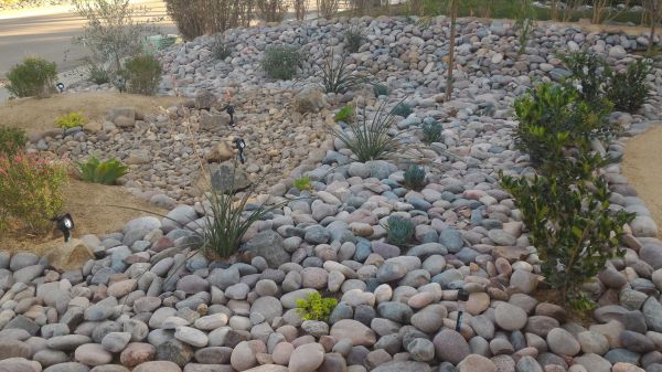 Yard Xeriscaping in Cherry Hill