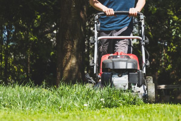 Garden Trimming Service in Cherry Hill