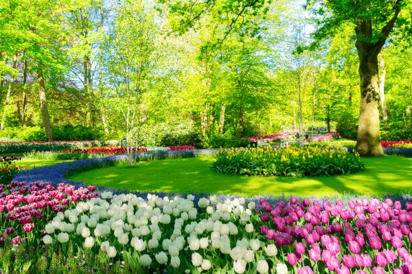 Flower Landscaping in Cherry Hill