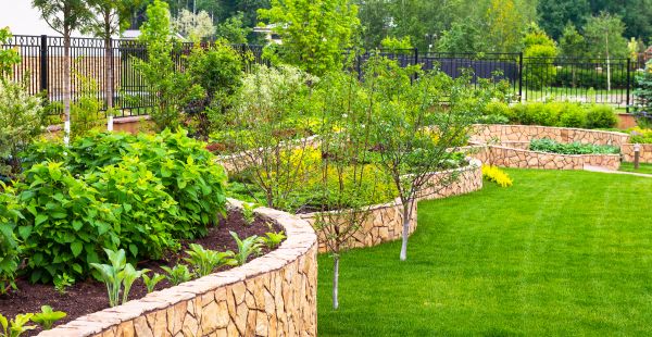 Yard Makeover Service in Cherry Hill