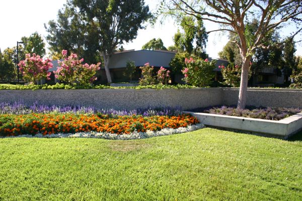 Commercial Landscape Service in Cherry Hill