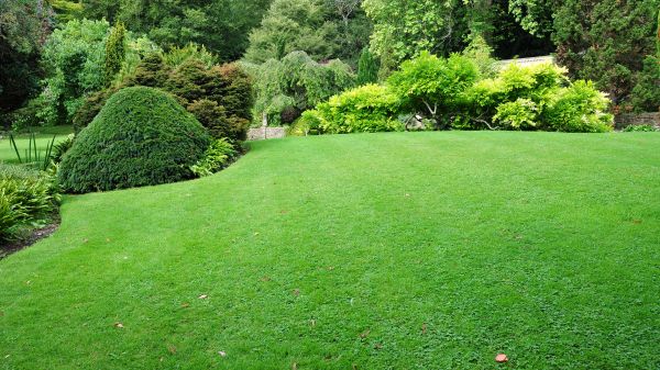 Commercial Landscape Design in Cherry Hill