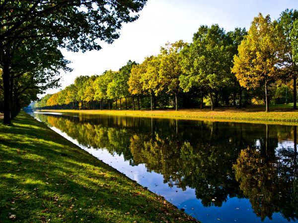 Bank Landscaping in Cherry Hill