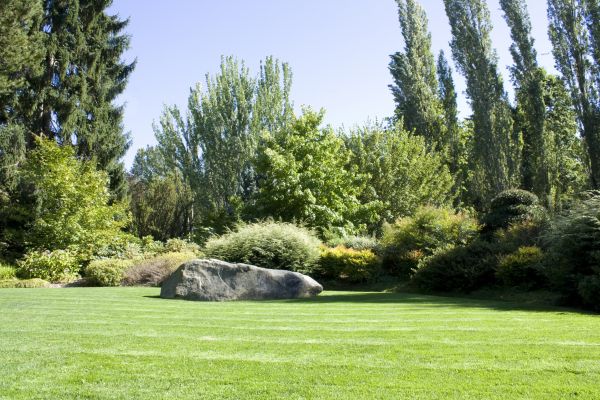 Yard Enlargement in Cherry Hill