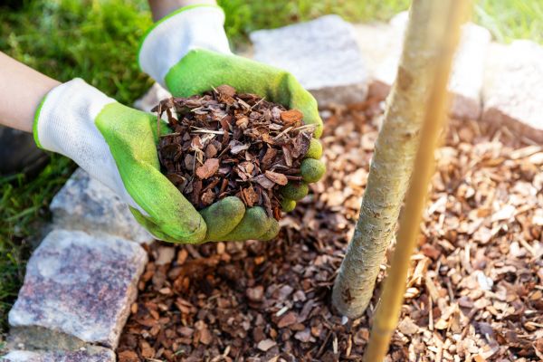 Tree Bark Delivery in Cherry Hill