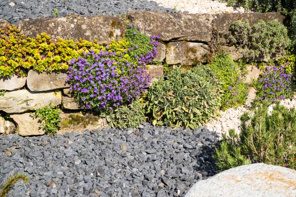 Landscaping Rocks Installation in Cherry Hill