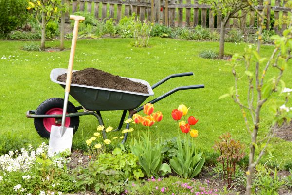 Spring Yard Renovation in Cherry Hill