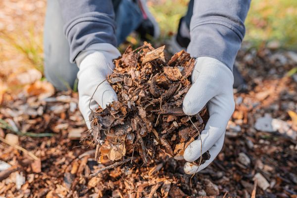 Shredded Mulch Installation in Cherry Hill