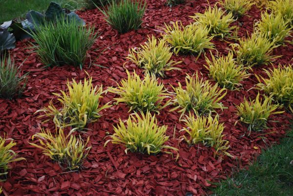 Red Mulch Installation in Cherry Hill